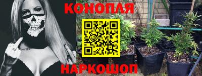 шишки Гусиноозёрск