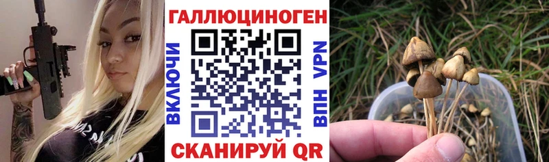 маркетплейс Telegram  Набережные Челны  Галлюциногенные грибы MAGIC MUSHROOMS 