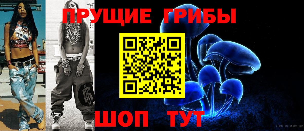 Галлюциногенные грибы Psilocybe Набережные Челны